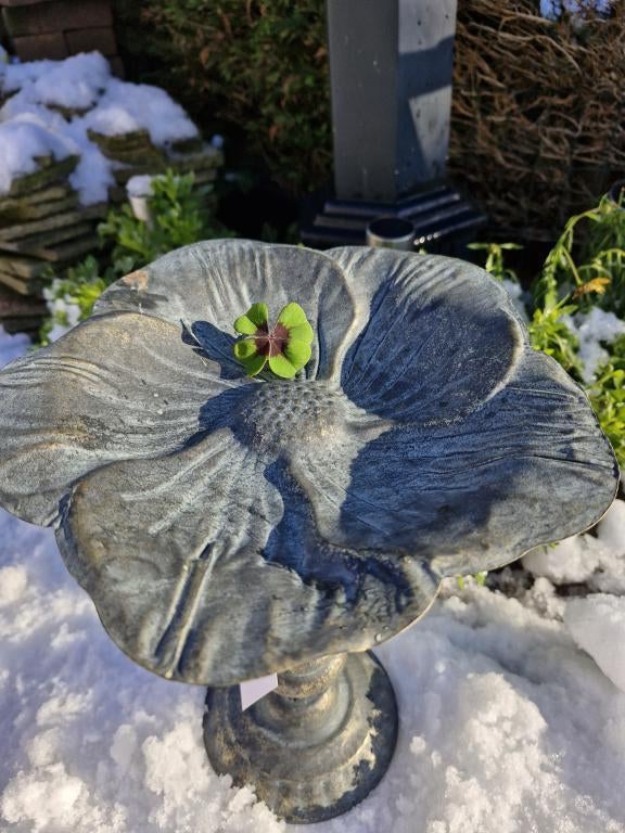 vogelvoederbak , bloem, Ophalen of Verzenden, Nieuw