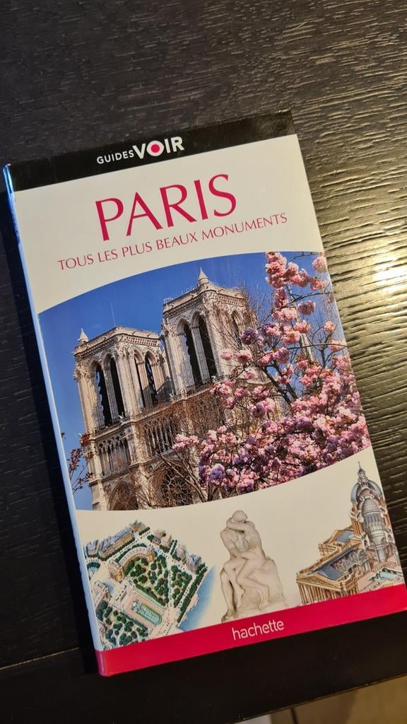 Guide voir Paris les plus beaux monuments Hachette, Ophalen of Verzenden, Gelezen