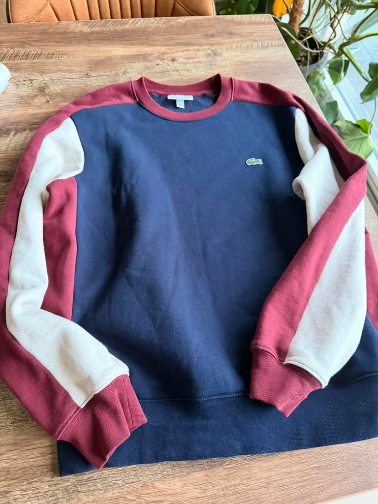 Truien Lacoste - Tommy Hillfiger, Kleding | Heren, Ophalen, Gedragen, Maat 48/50 (M), Overige kleuren