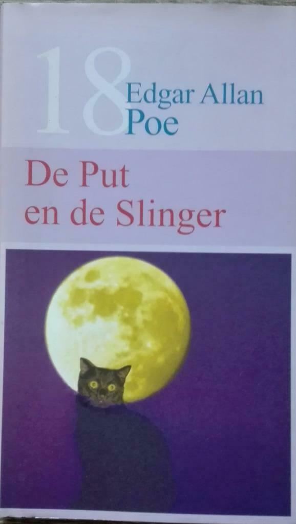 BOEK - DE PUT EN DE SLINGER, Ophalen of Verzenden, Zo goed als nieuw