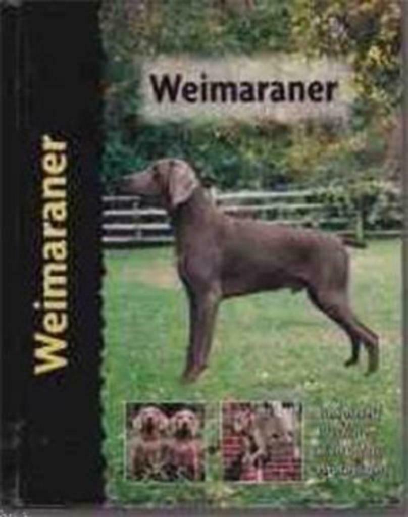 Weimaraner, Lavonia Harper, Ophalen, Honden