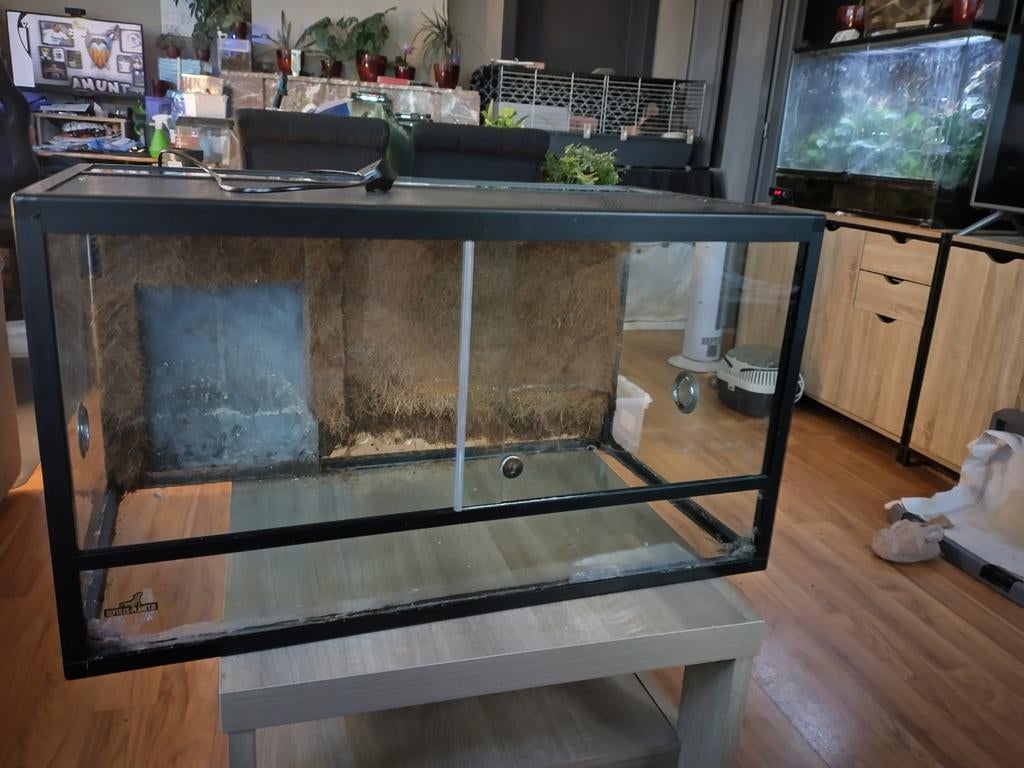 terrarium en verre 80x45x45 +fond coco et tapis chauffant, Enlèvement, Utilisé, Terrarium ou Paludarium