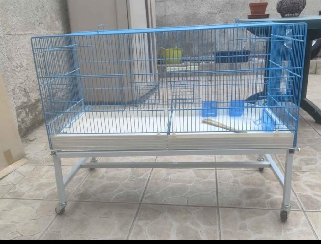 Cage à oiseaux, Animaux & Accessoires, Enlèvement, Cage