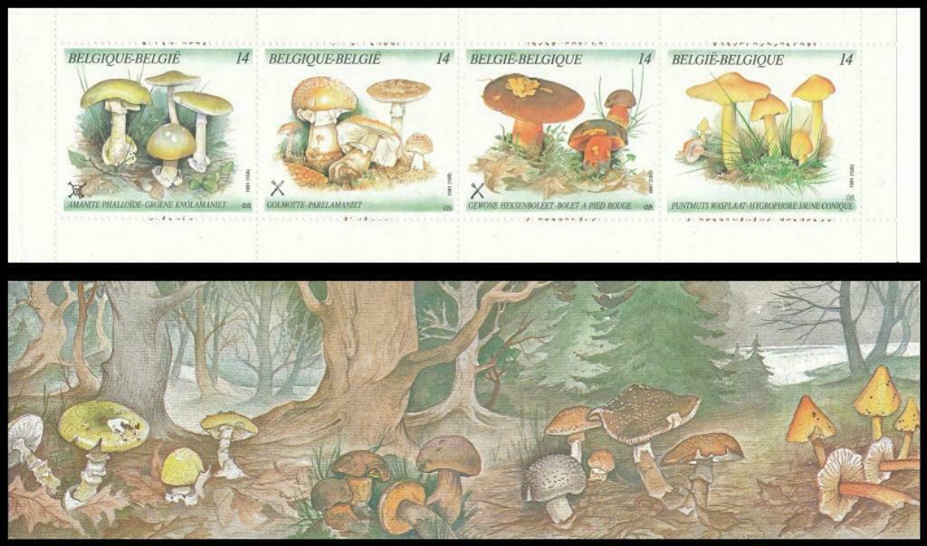 B21 PostzegelBoekje Natuur Paddestoelen 1991, Postzegels en Munten, Postzegels | Europa | België, Ophalen of Verzenden, Frankeerzegel
