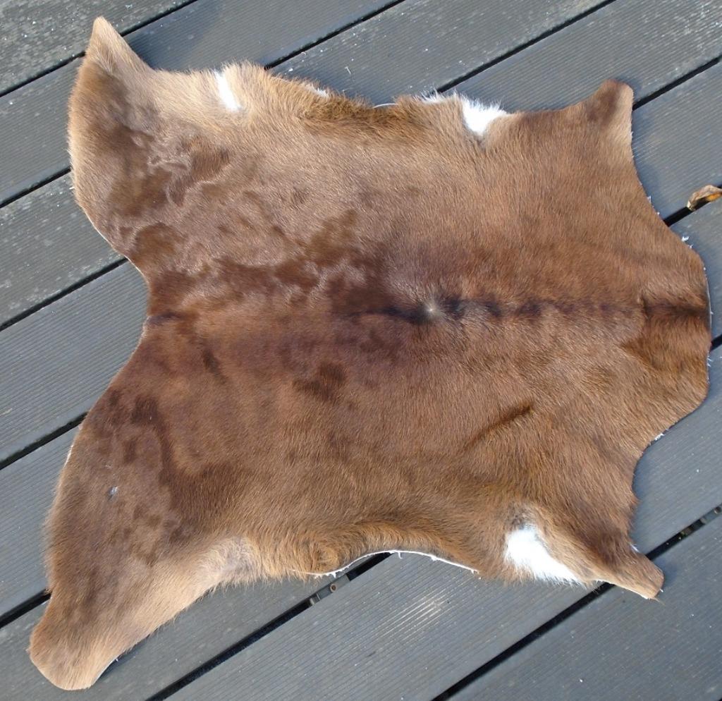 KALFS HUID licht Nieuw, Ophalen of Verzenden, Nieuw