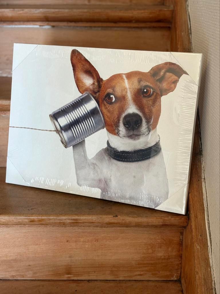 Nieuw canvas met Jack-Russel., Ophalen, Nieuw