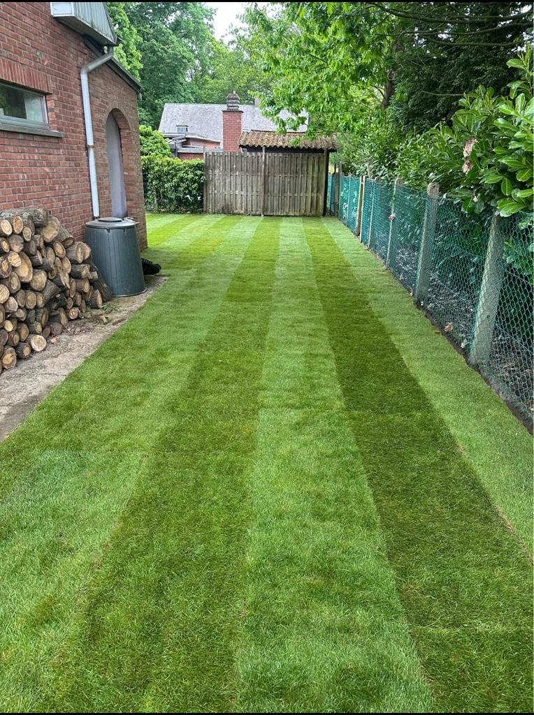Gazon jardin haute qualité, Enlèvement ou Envoi, Neuf