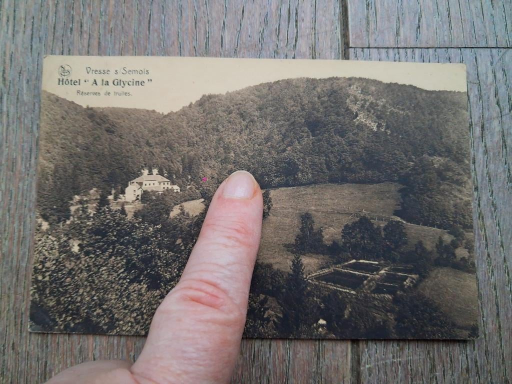 Ancien hébergement décrit : Hotel a la Glycine, Vresse sur S, Enlèvement ou Envoi