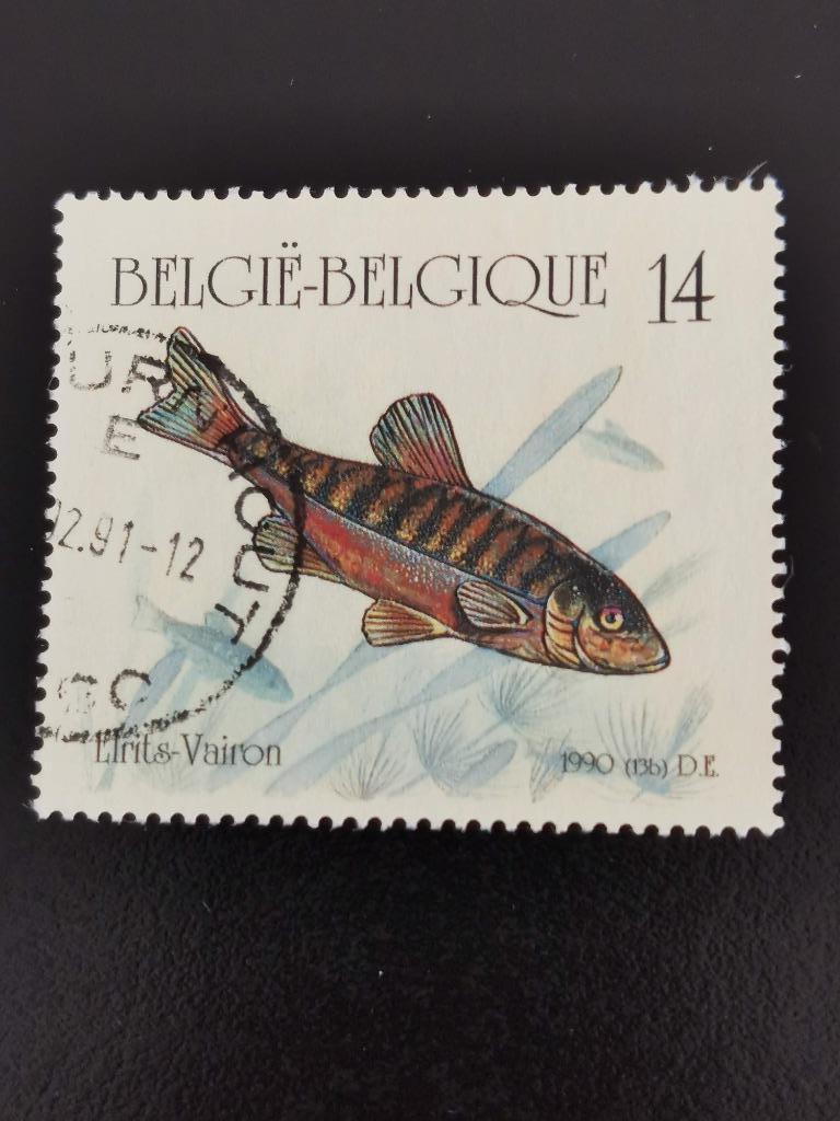 Belgique 1990 - pêche - elrits - timbre du carnet, Enlèvement ou Envoi, Affranchi