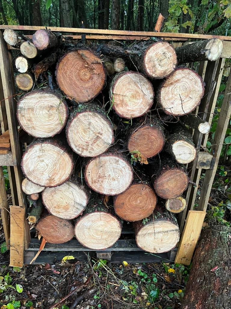 Droog brandhout lariks stammen, Tuin en Terras, Brandhout, 6 m³ of meer, Ophalen, Overige houtsoorten, Blokken