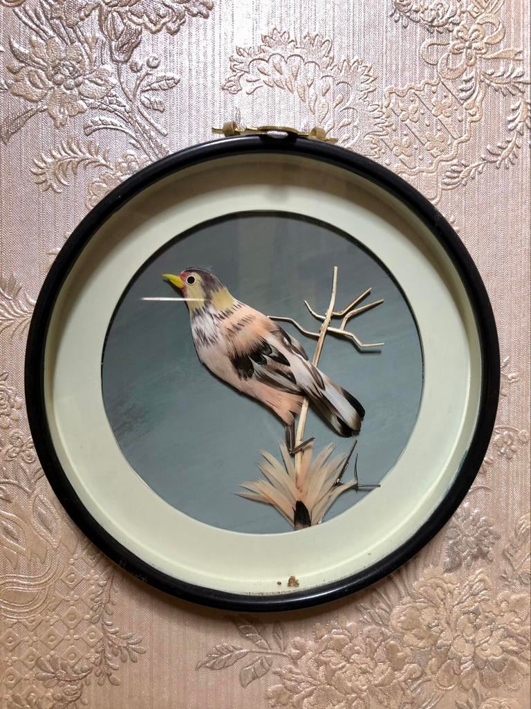 Glazen kader met vogel, Ophalen, Zo goed als nieuw