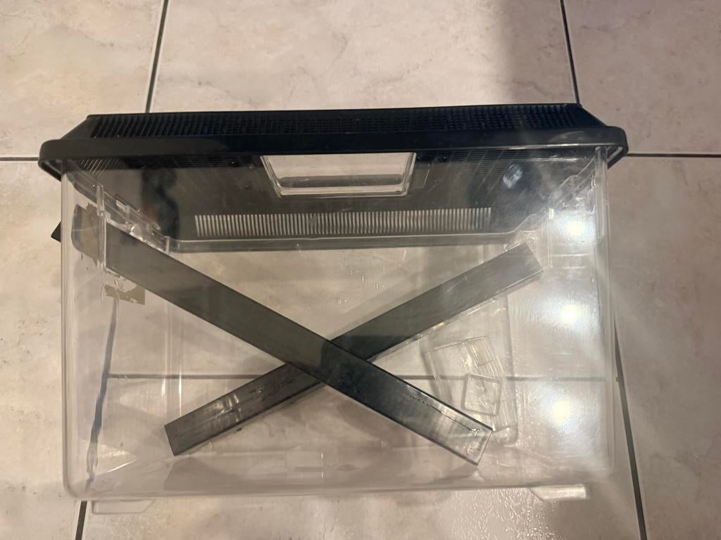 Kweekbak krekels large, Ophalen, Zo goed als nieuw