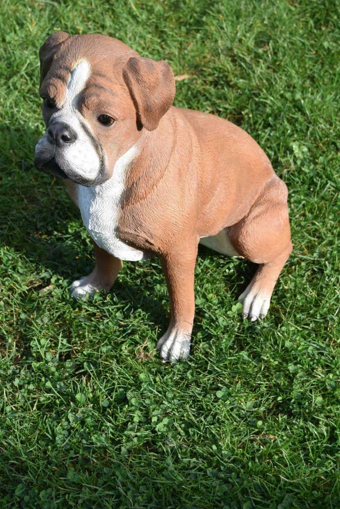 Grand chien boxer en polyrésine de grande qualité, Enlèvement ou Envoi, Neuf