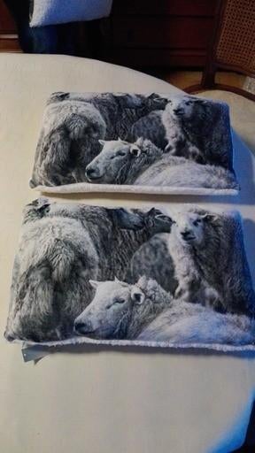 2 kussens schaap, Ophalen of Verzenden, Nieuw