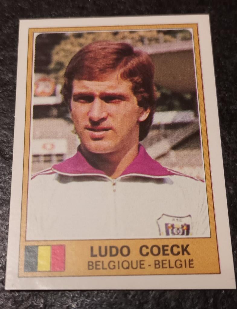 PANINI EURO FOOTBALL #13 LUDO COECK (ANDERLECHT), Verzamelen, Ophalen of Verzenden
