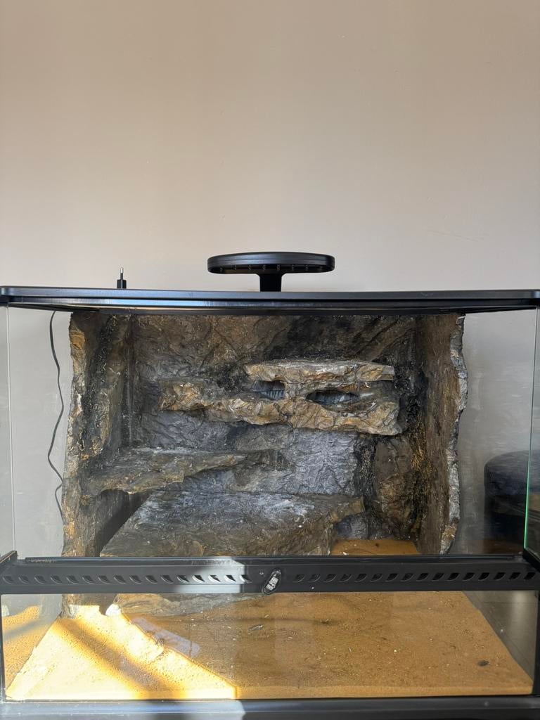 Terrariums en toebehoren, Dieren en Toebehoren, Ophalen, Zo goed als nieuw