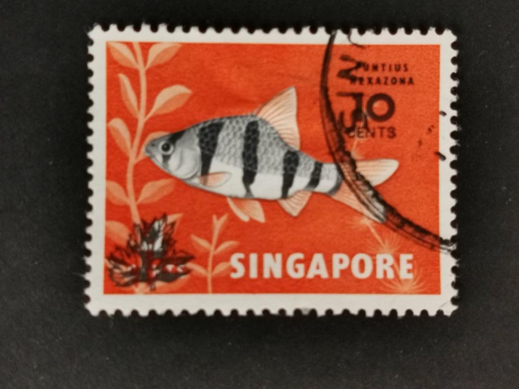 Singapour 1981 - poisson Barbeau à cinq rayures - surcharge, Enlèvement ou Envoi, Affranchi, Asie du Sud Est