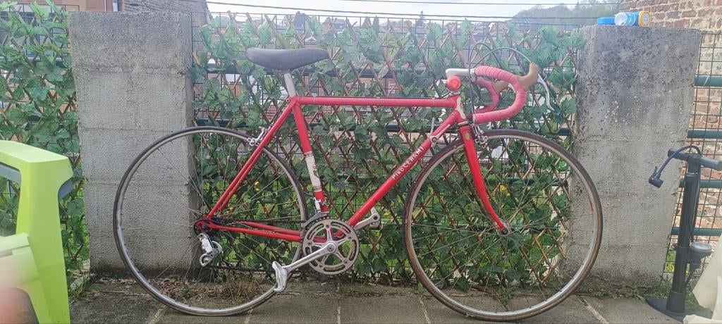 Pino keramische racefiets, volledig campagnolo, Ophalen