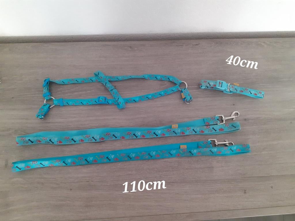 Ensemble laisse/collier/harnais pour chien, Enlèvement, Utilisé