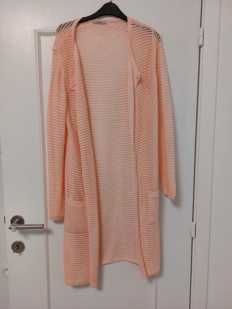 Babyrose vest maat 38 Lc waikiki, Kleding | Dames, Ophalen of Verzenden, Maat 38/40 (M)