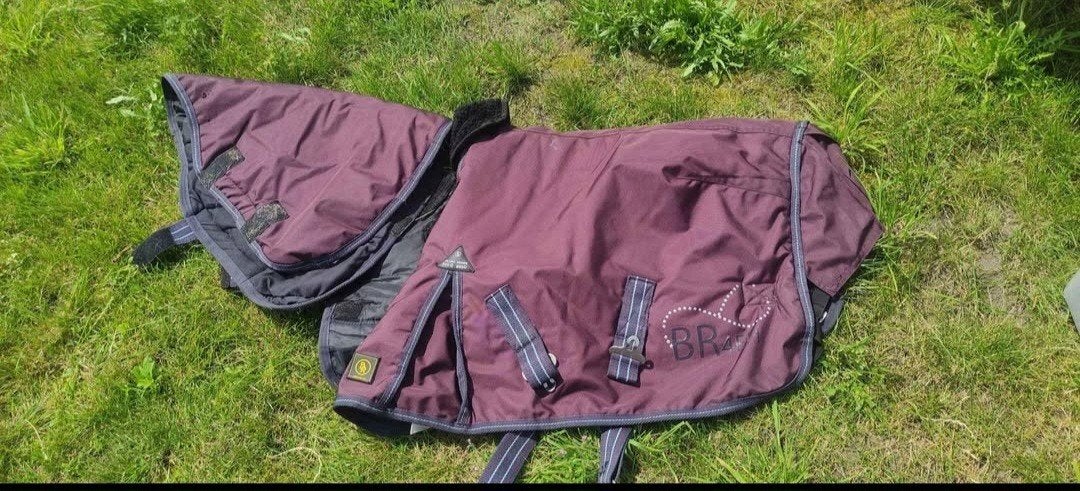 Shetlander dekens, Dieren en Toebehoren, Meerkleurig, Shetlander/Mini, Overige merken, Ophalen of Verzenden