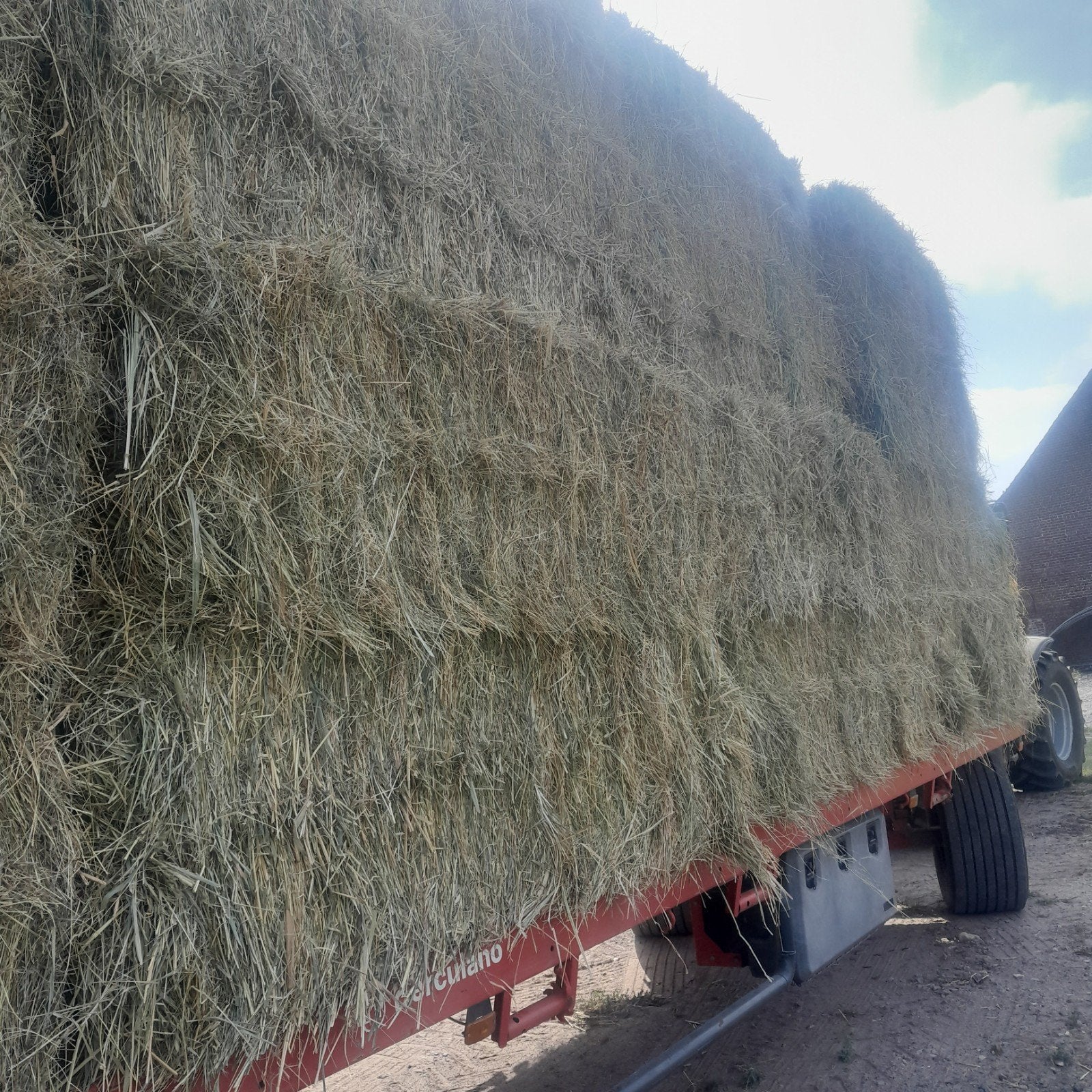 Grote pakken hooi te koop, Dieren en Toebehoren, Dierenvoeding, Ophalen of Verzenden