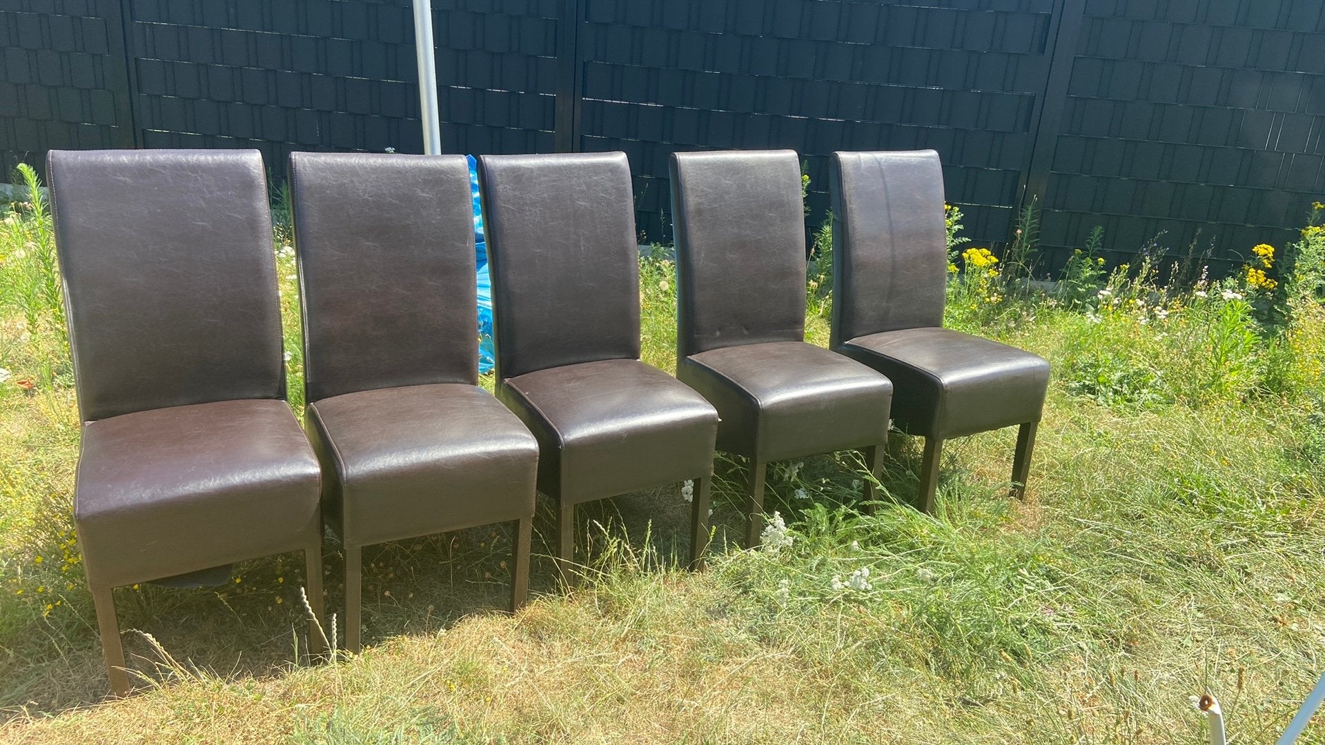 Tafelstoelen 6 stuks leer, Ophalen, Gebruikt, Leer