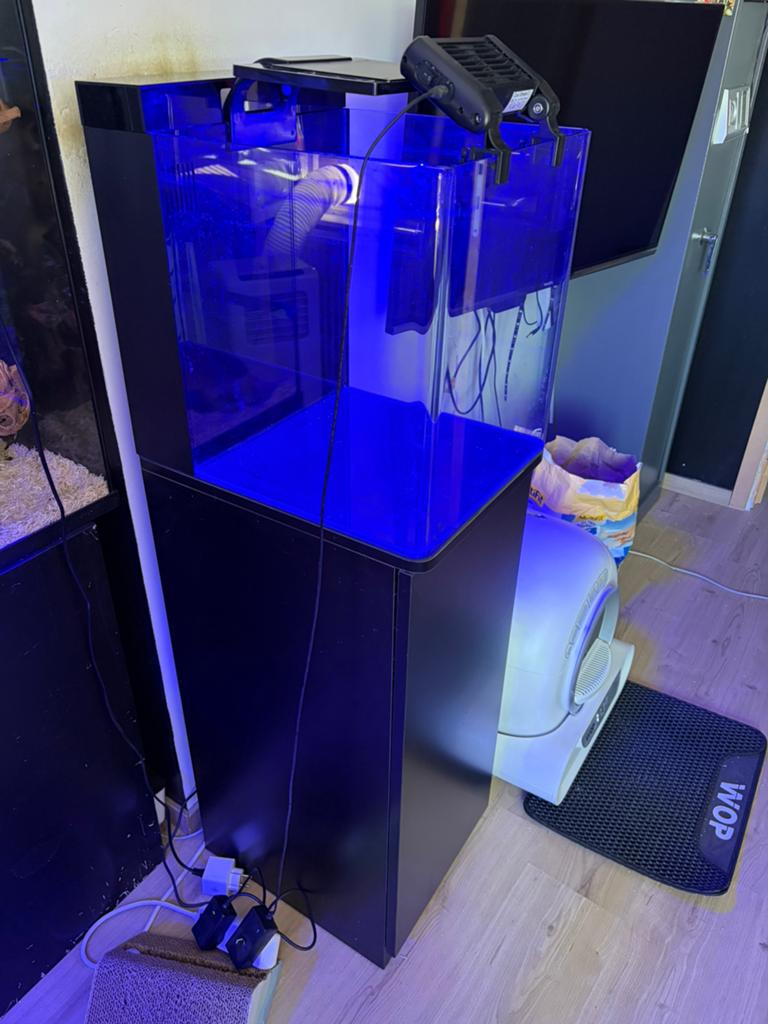 Bleu marine 60, Enlèvement, Comme neuf, Filter