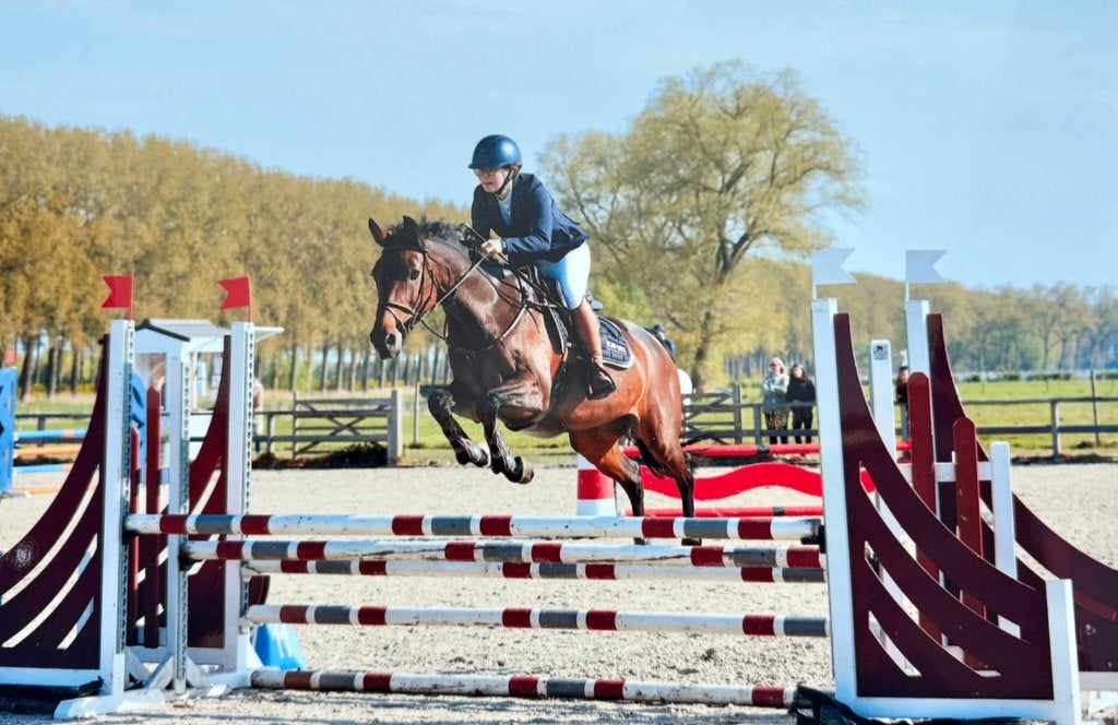 Mooie spring of recreatieve merrie, Dieren en Toebehoren, Merrie, Springpaard, Met stamboom, Niet van toepassing
