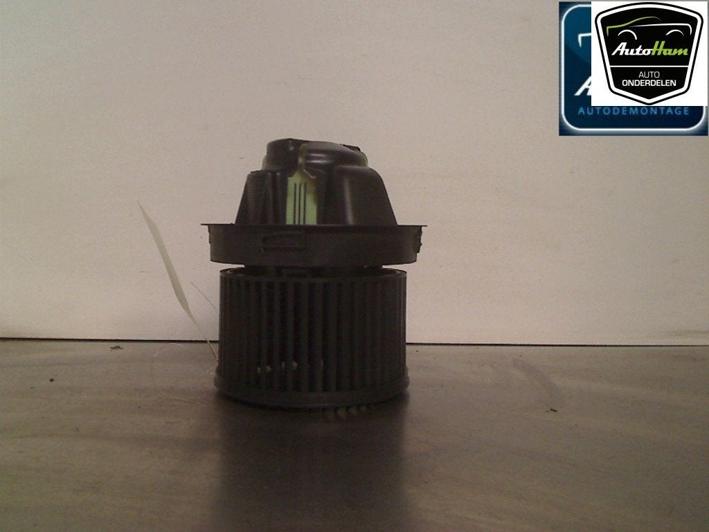 VENTILATEUR RADIATEUR MOTEUR Peugeot 207 CC (WB), Utilisé, Peugeot