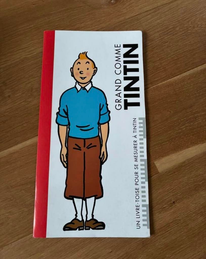 TOISE TINTIN, Collections, Enlèvement ou Envoi, Tintin, Comme neuf