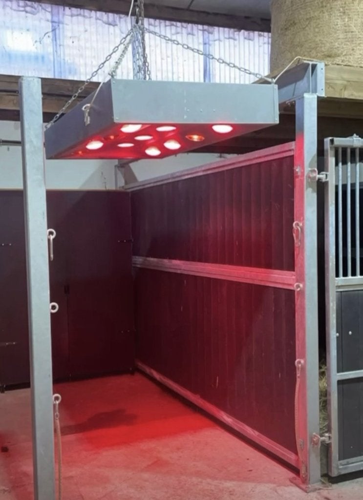 Solarium paard, Dieren en Toebehoren