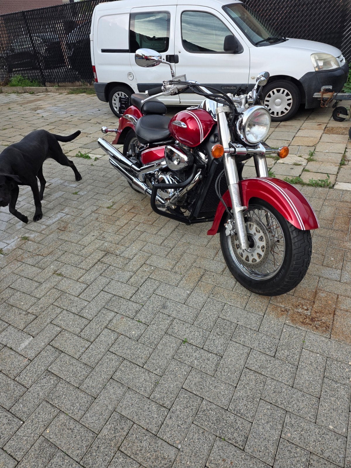 suzuki intruder vl800, Particulier