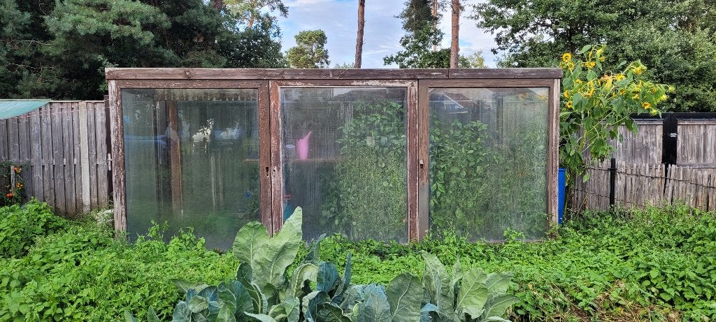 serre, Tuin en Terras, Ophalen, Gebruikt