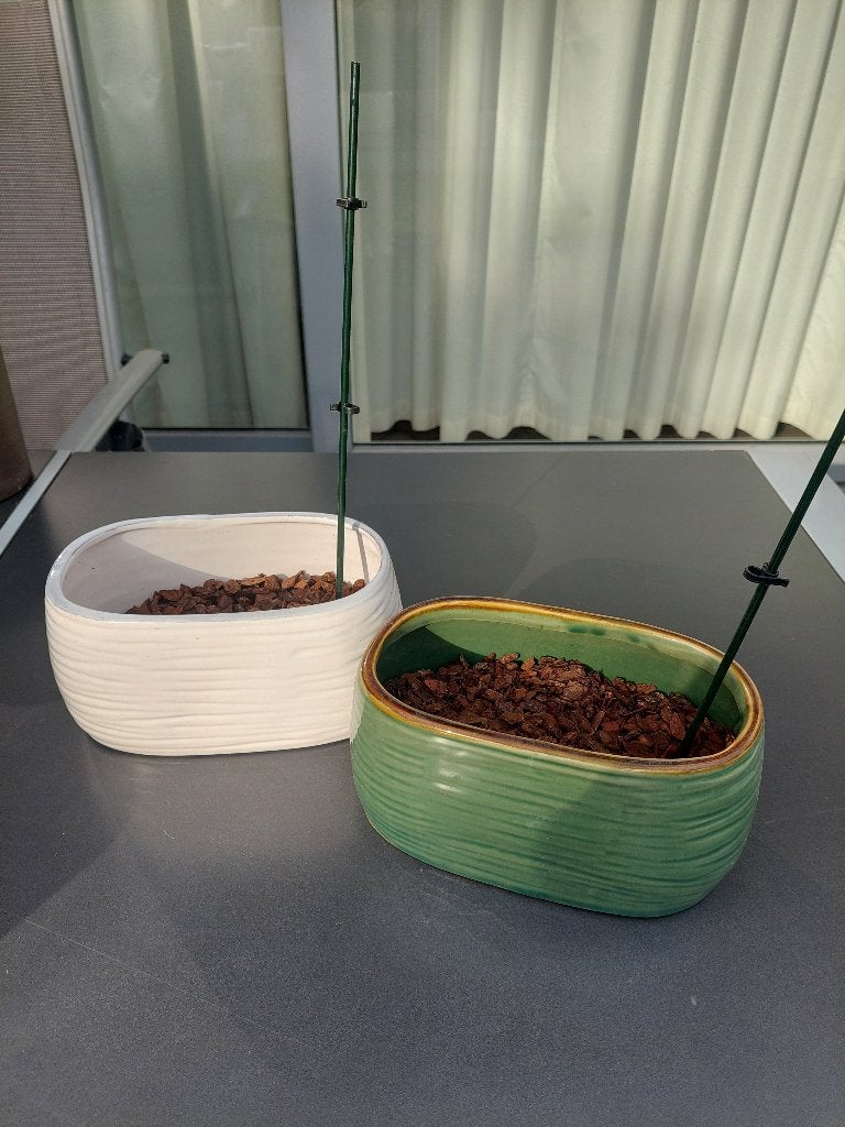 2 langwerpige cache pots met orchidee schilfers, Enlèvement, Comme neuf