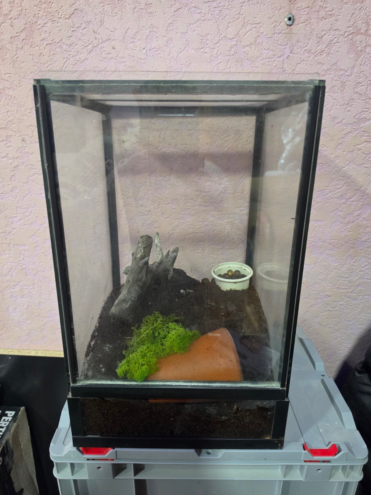 terrarium guillotine 25x25x40, Enlèvement ou Envoi