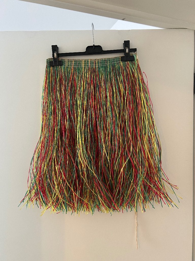 Verkleed kleding - Hawaii rokje, Vêtements | Femmes, Costumes de carnaval & Vêtements de fête, Enlèvement, Porté, Taille 36 (S)