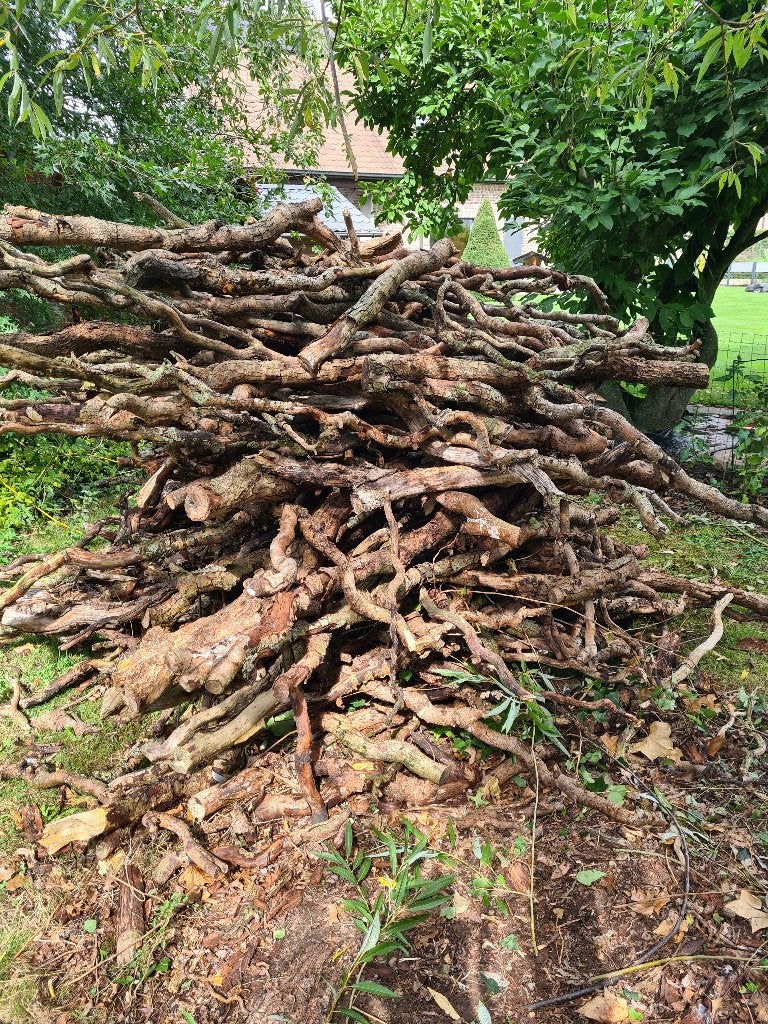 Gratis droog brandhout, Tuin en Terras, Brandhout, 3 tot 6 m³, Ophalen, Overige houtsoorten, Takken