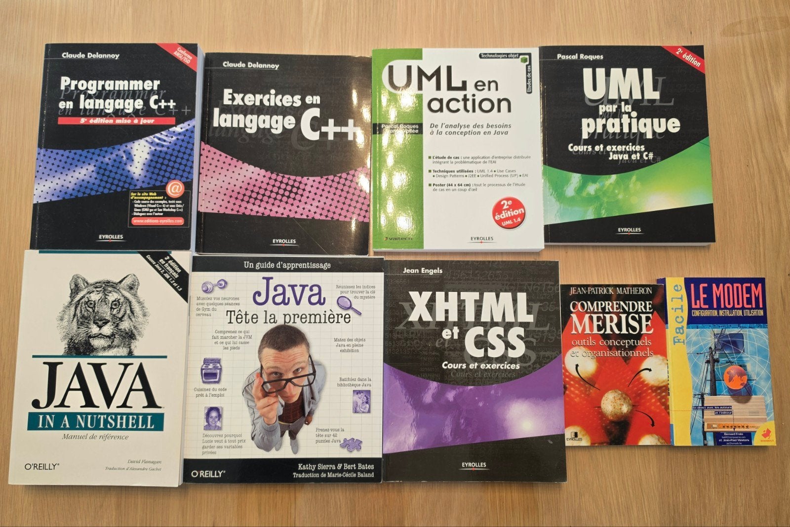 Lot de livres d'informatique (début années 2000), Enlèvement, Utilisé, Langage de programmation ou Théorie