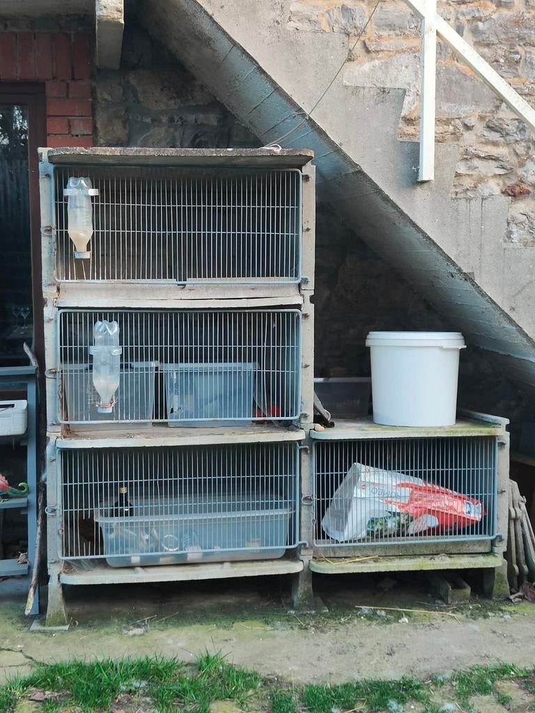 Cages à lapins en béton, Animaux & Accessoires