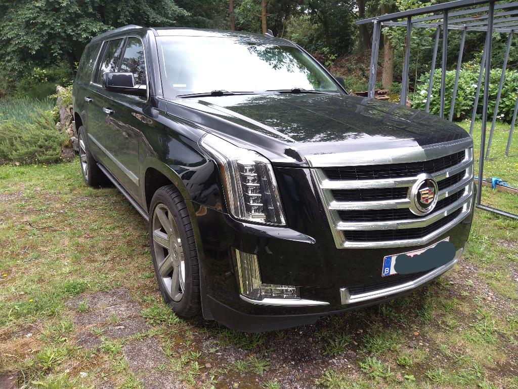 Escalade moterschade. GEZOCHT schade escalade vanaf 2020, Autos, Cuir, Euro 5, Escalade, Autres couleurs