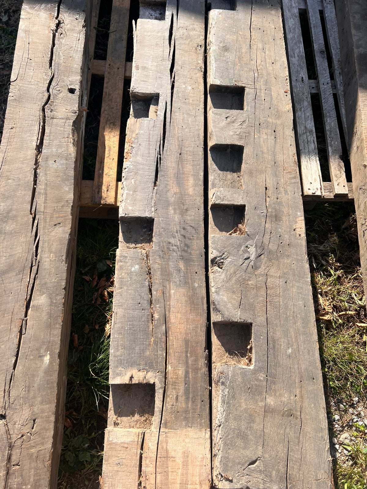 lot de 6 vieilles poutres en chêne en bon état, Bricolage & Construction, 50 mm ou plus, 300 cm ou plus, Chêne, Enlèvement