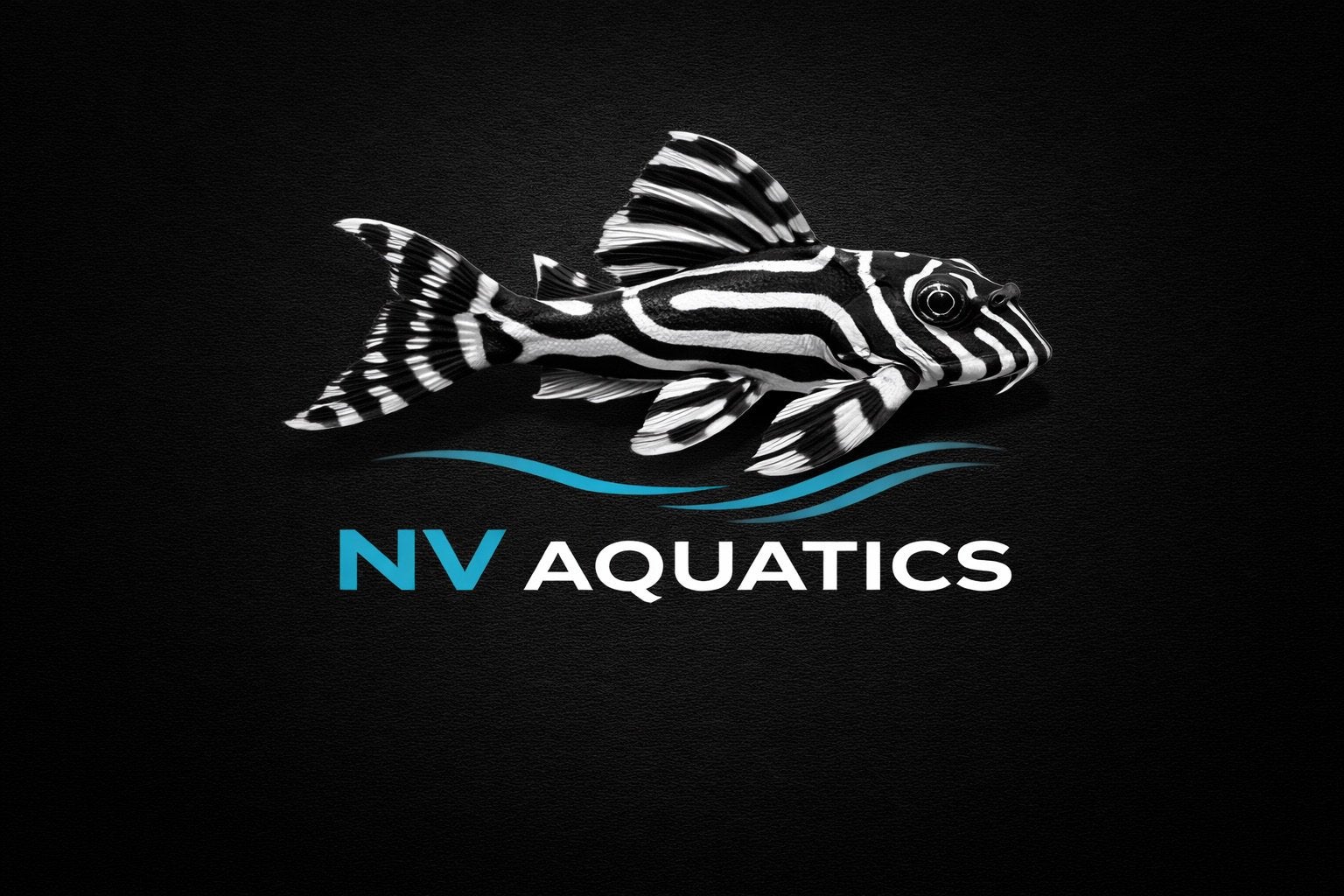 Mooie l nummers in promo, Vis, Zoetwatervis