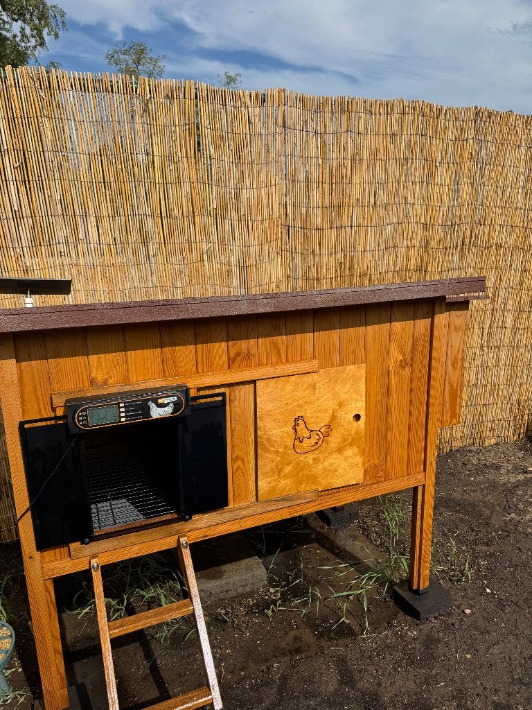 Kippenhok met automatische deur Ferplast henhouse 30, Ophalen of Verzenden, Nieuw, Kippenhok of Kippenren