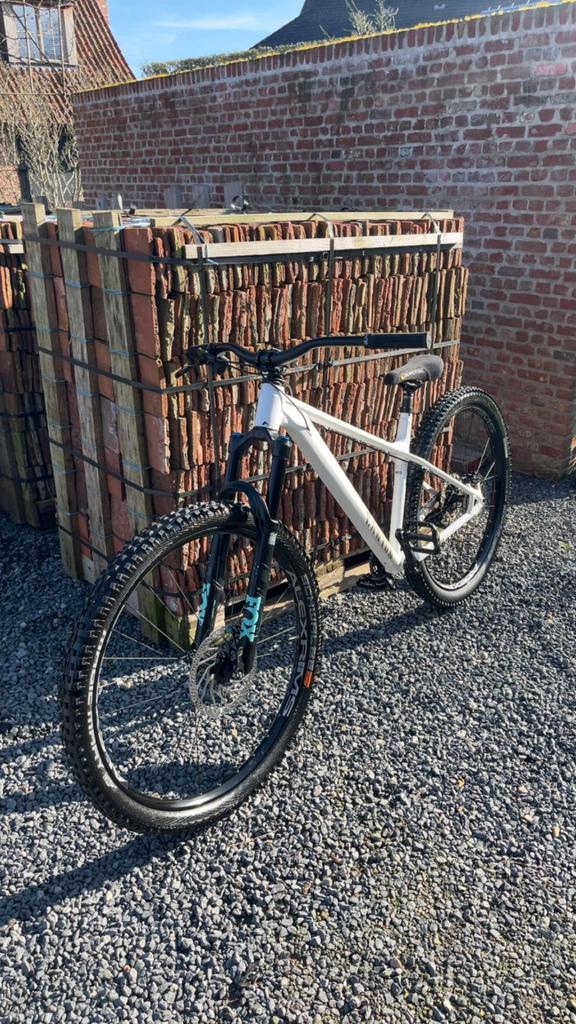 canyon stoic, Ophalen, 24 inch of meer, Stuur 360° draaibaar, Schijfrem