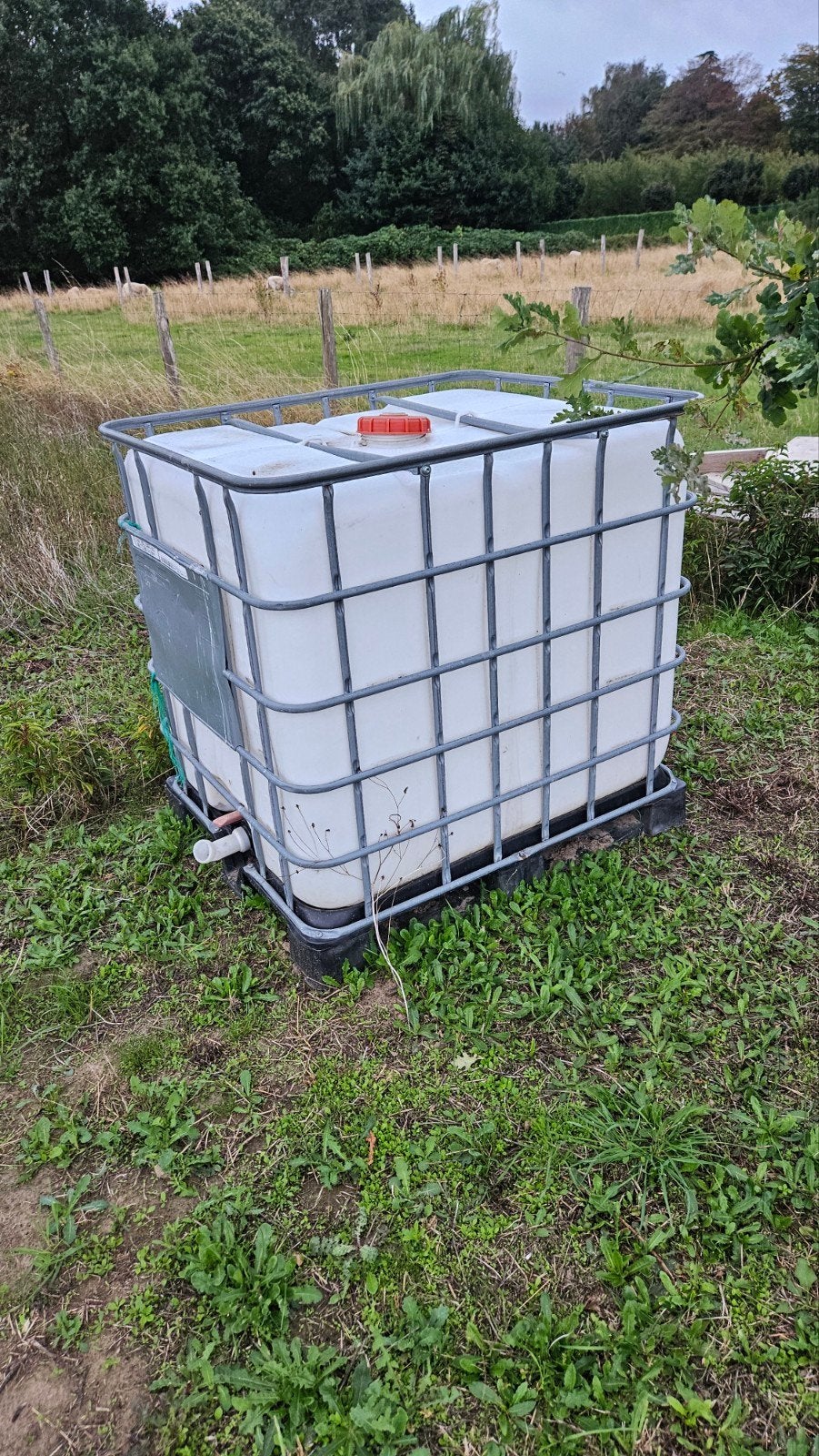 IBC - 1000 liter - Op te halen, Ophalen