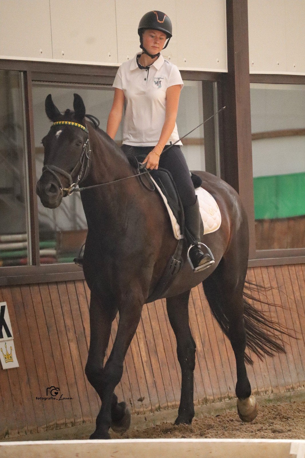 halve stal/lease pony gezocht, Dieren en Toebehoren