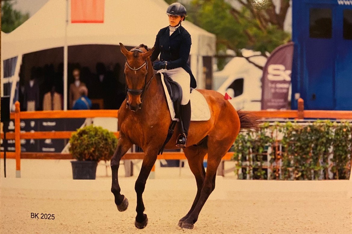 Eerlijk en werkwillig dressuurpaard, ZZ, Met stamboom, Ruin, Dressuurpaard
