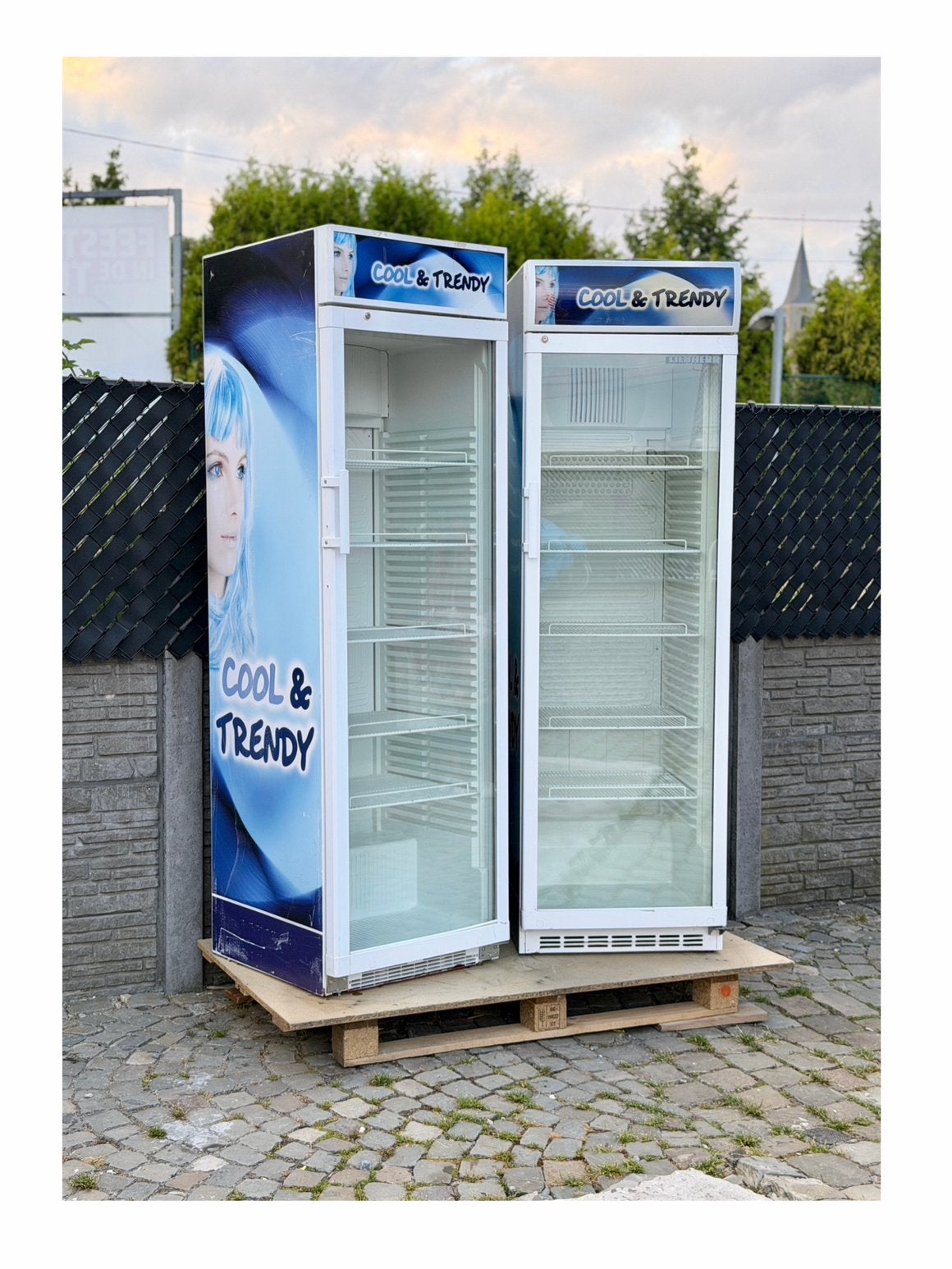 2 frigos LIEBHERR vitrine professionnels drankekolkast, Elektronische apparatuur, Koelkasten en IJskasten, Gebruikt, Ophalen