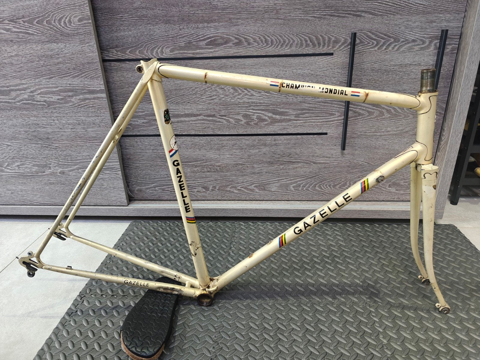 gazelle champion mondial koersframe maat 58 ct, Ophalen